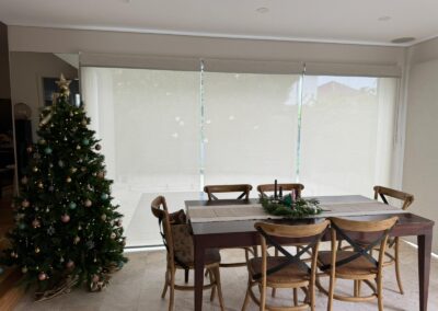 Double Roller Blinds