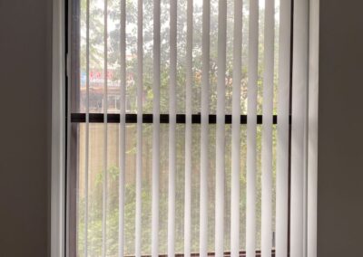 Vertical Blind 2