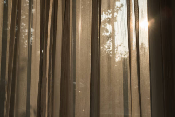 Transform Your Interiors with Custom Curtains and Blinds in Sydney